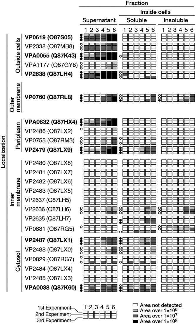 FIG 2