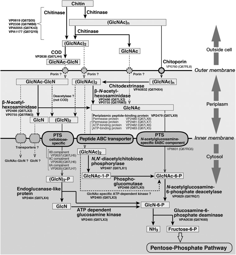 FIG 1