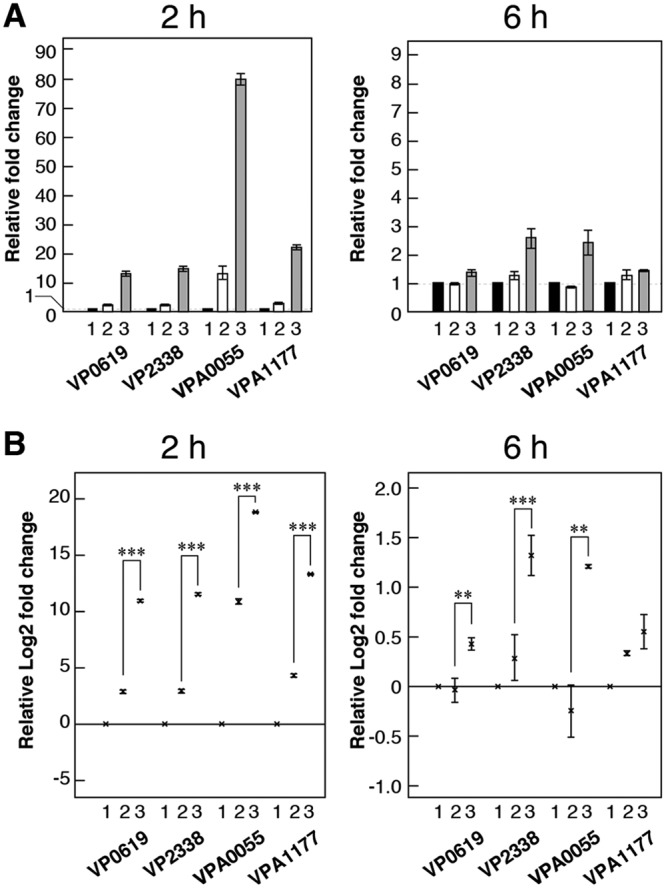 FIG 3