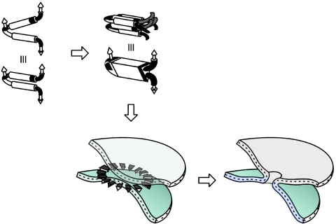 FIG. 8.