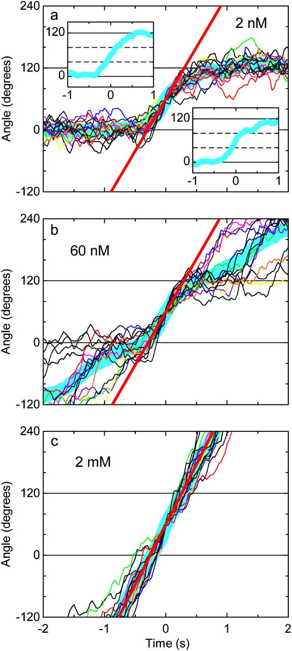 FIGURE 3