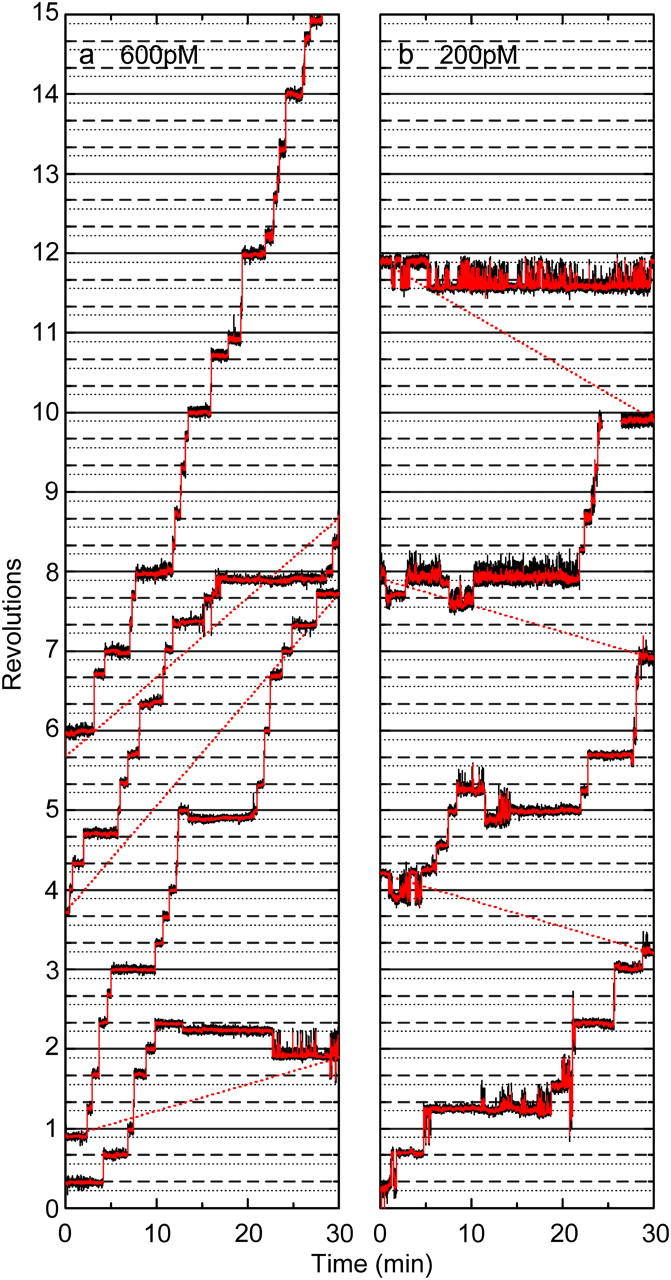 FIGURE 4