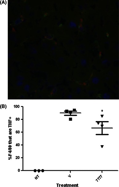 Fig. 4