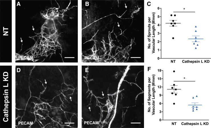 FIG. 8.