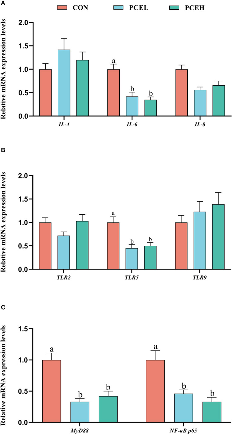 Figure 4