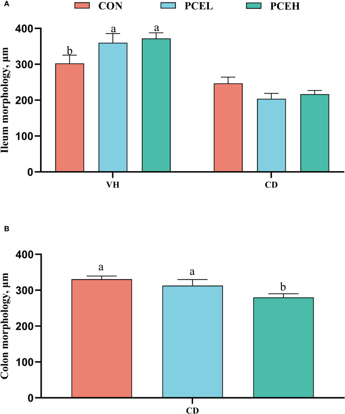 Figure 3