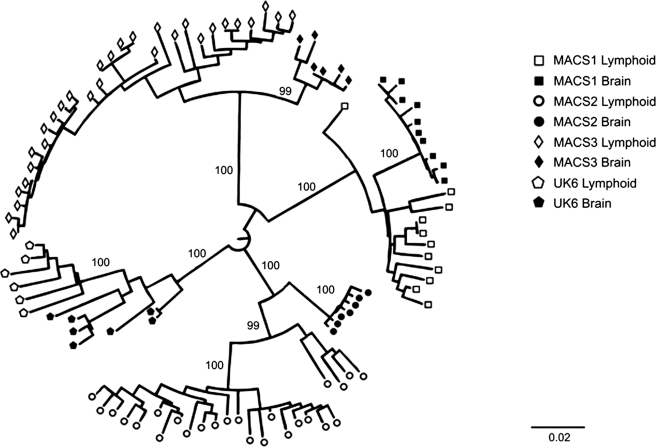 FIG. 1.