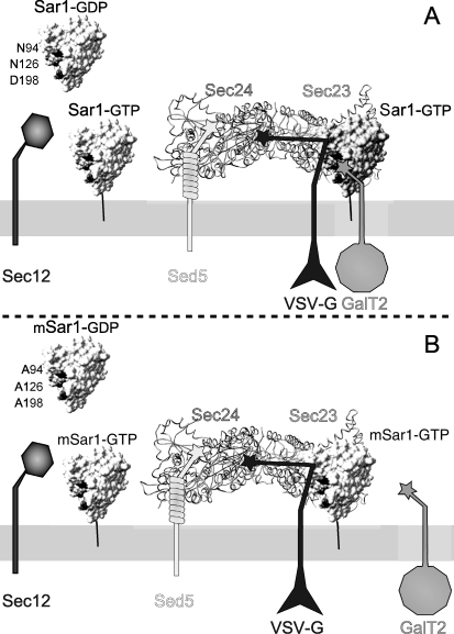 FIGURE 7.