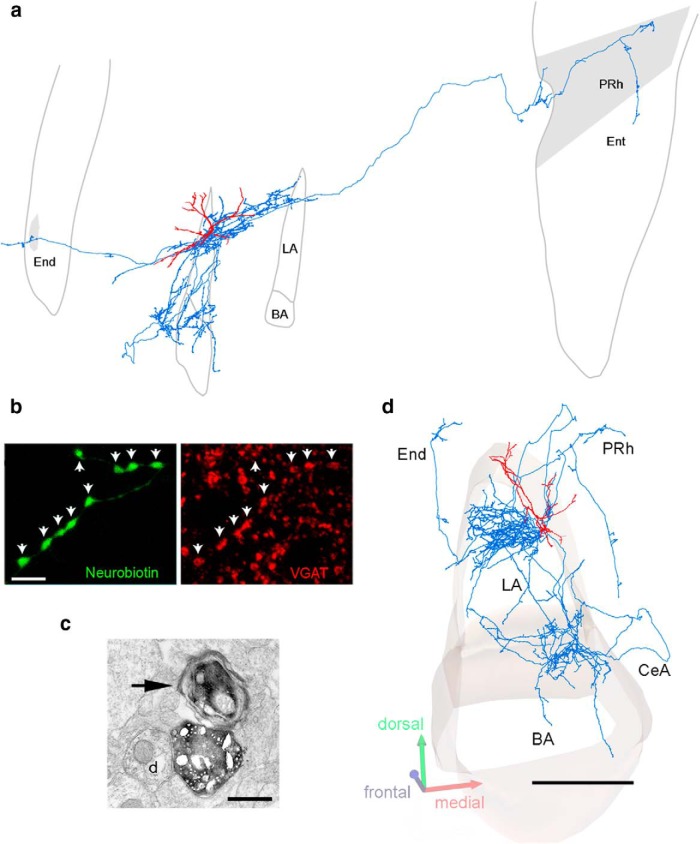 Figure 9.