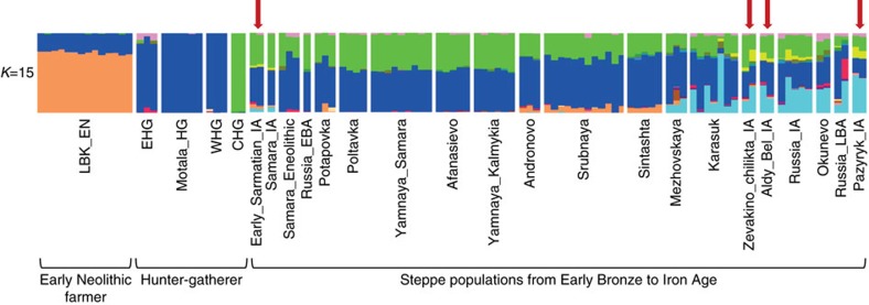 Figure 7