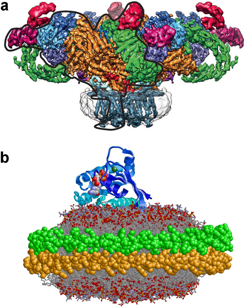 Figure 2.