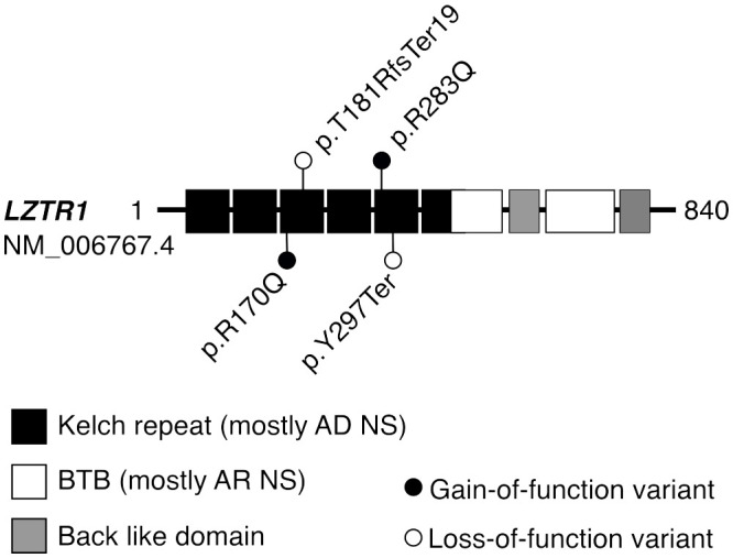 Figure 3