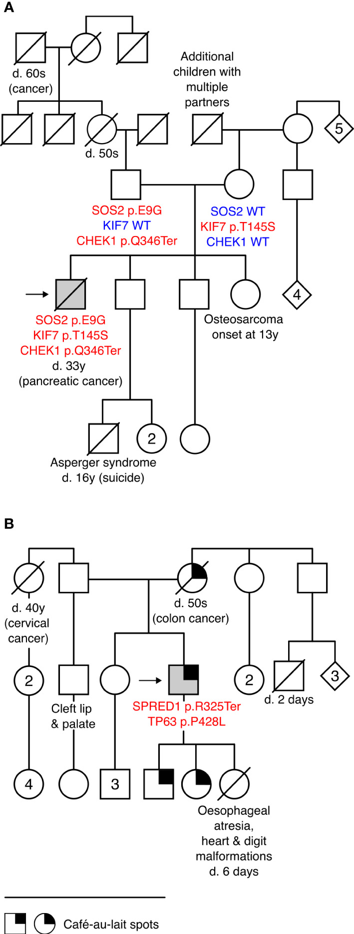 Figure 2