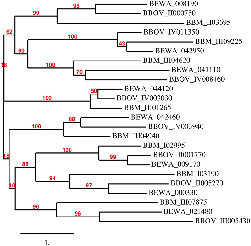 Fig 5