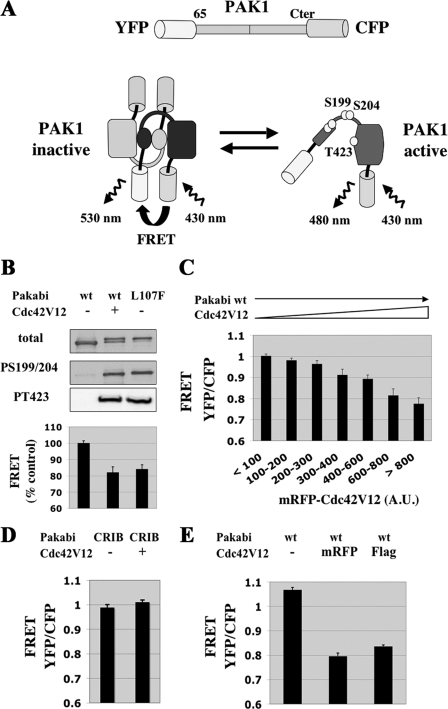 FIGURE 1.