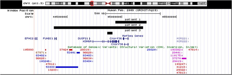 Figure 1