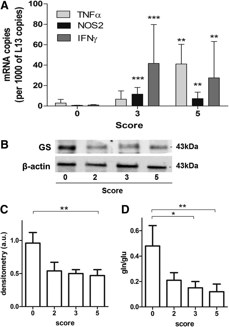 FIG. 6.