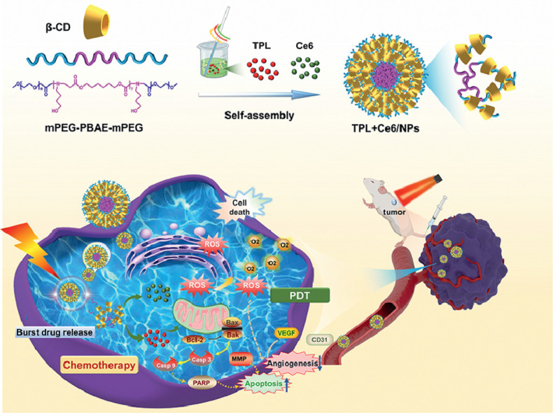 Image, graphical abstract