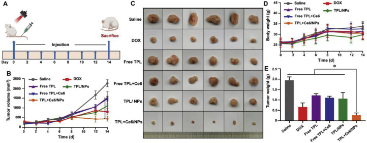 Fig 6