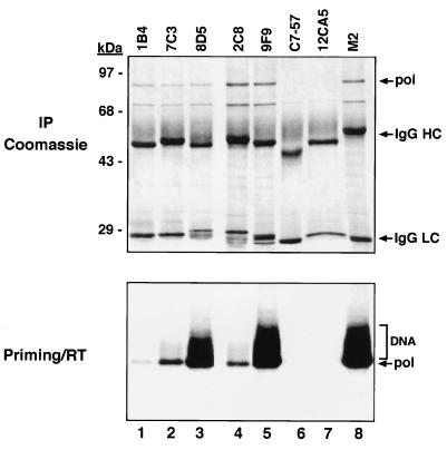 FIG. 6