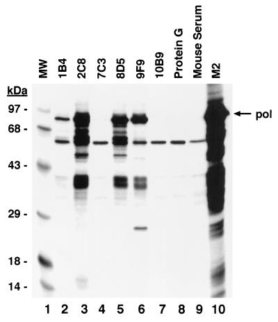 FIG. 5