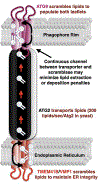Figure 2: