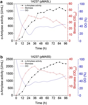 Figure 6