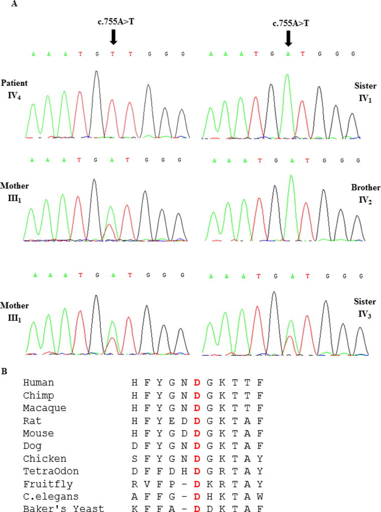 FIG. 3