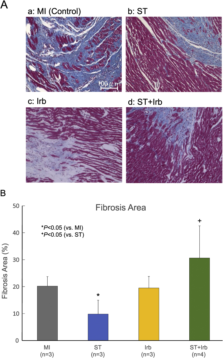 Fig. 6