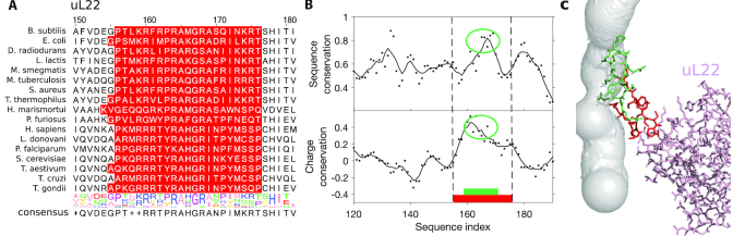 Figure 7.