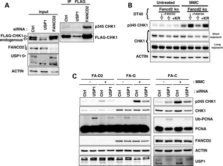 Figure 2.