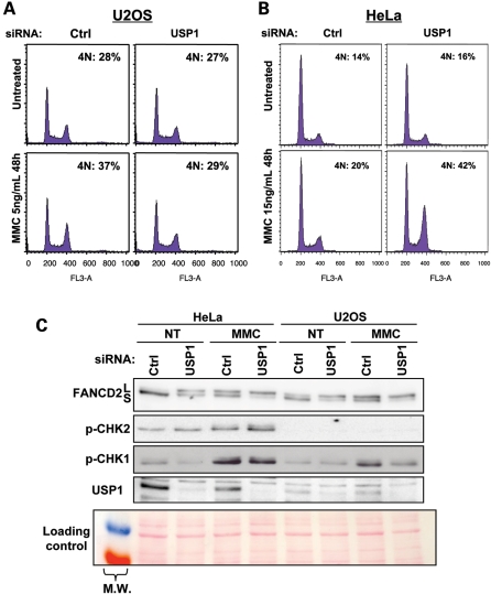 Figure 3.