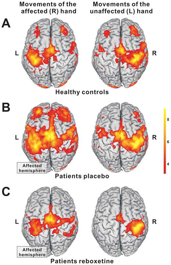 FIGURE 3: