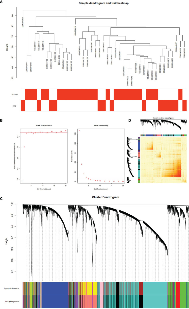 Figure 2