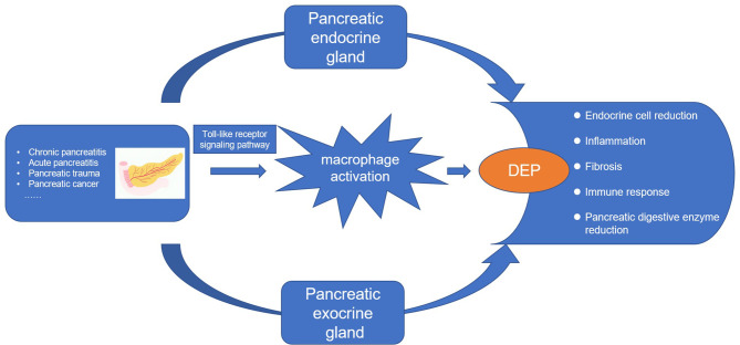 Figure 10