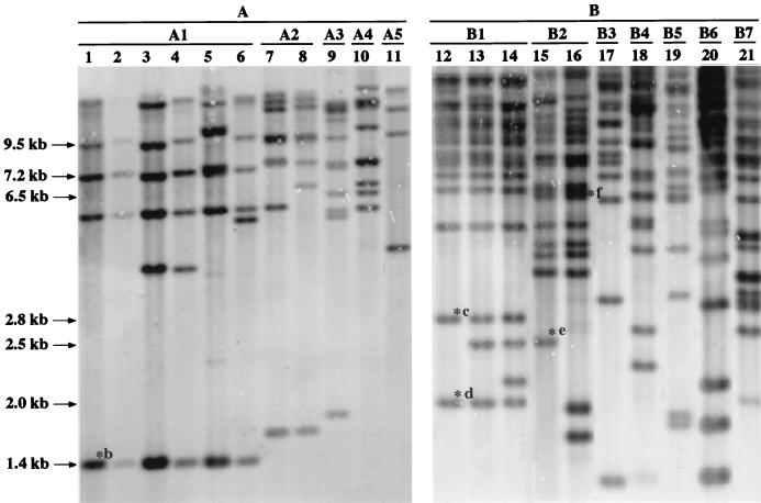 FIG. 1