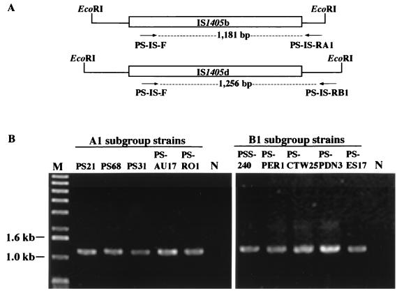 FIG. 4