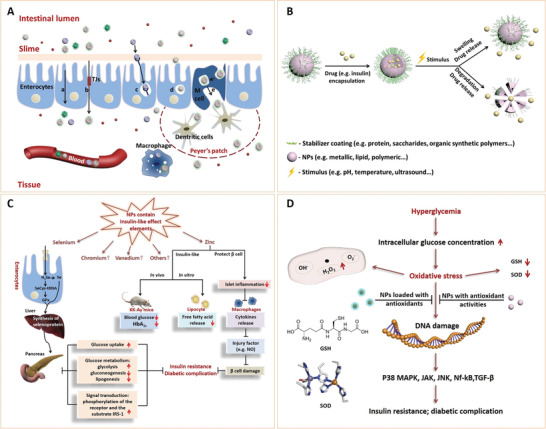 Figure 25