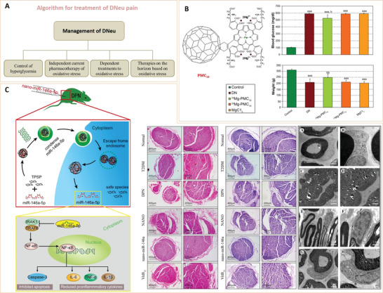 Figure 20