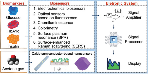 Figure 24