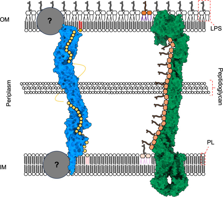 Figure 6 -