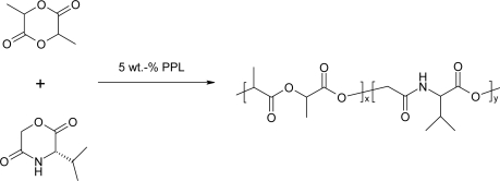 Scheme 8