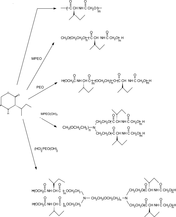 Scheme 12