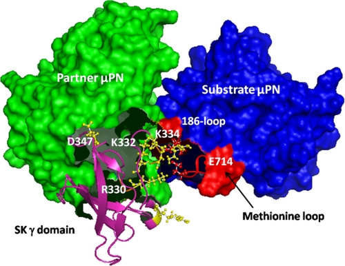 FIGURE 4.