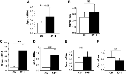 FIG. 8.