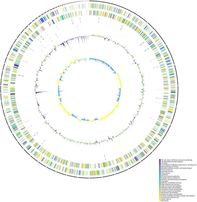 Fig. 1