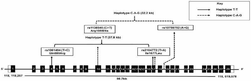 Fig 6