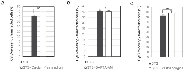 Figure 3—figure supplement 1.