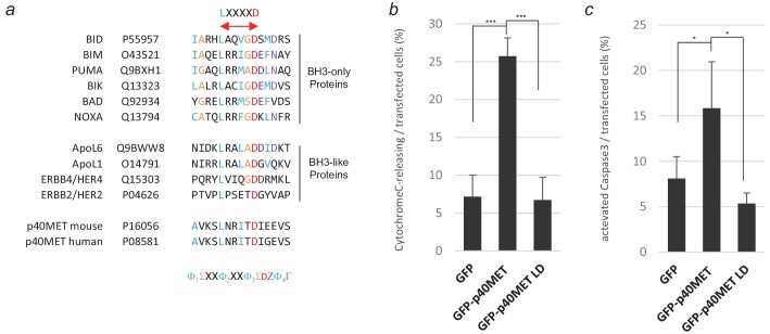 Figure 2—figure supplement 5.