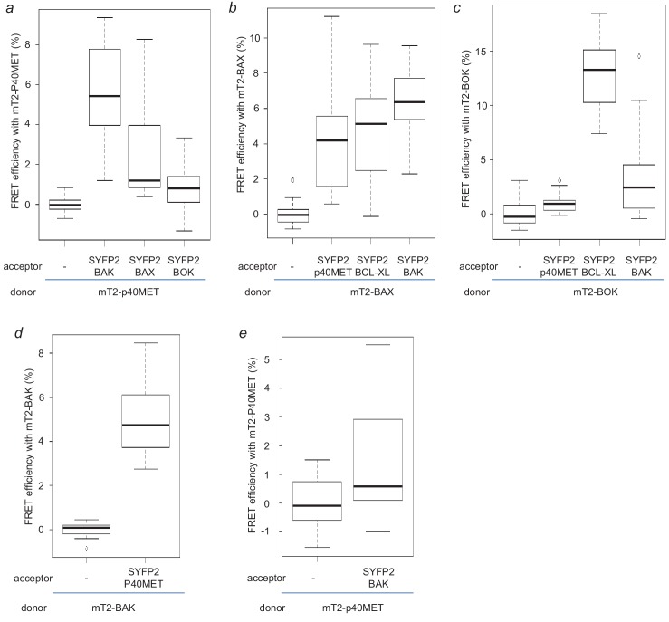 Figure 2—figure supplement 4.